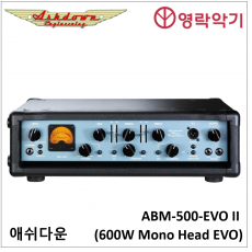 Ashdown  ABM500 EVOⅡ