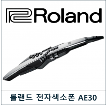 ROLAND (롤랜드)AE30-PRO